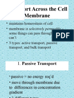 Types of Transport