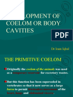 Coelom and Body Cavities