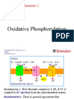 Oxidative Phosphorylation: Molecular Biochemistry I