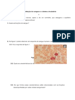 Constituição Do Sangue e o Sistema Circulatório Teste CN 9º Ano