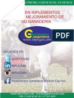 PDF Documento