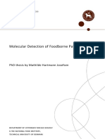 Molecular Detection of Foodborne Pathogens