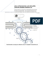 Pgal Transformation Complete Lab Revised-1