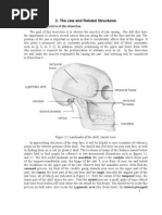 The Jaw and Related Structures