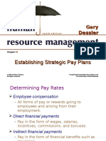 Establishing Strategic Pay Plan Ppt11