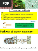 Transport in Plants