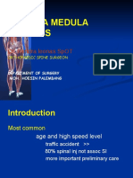 Trauma Medulla Spinalis