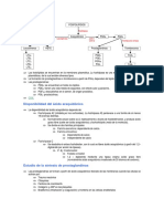 Prostaglandinas y Leucotrienos 