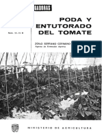 Poda y Entutorado Del Tomate