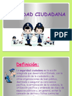 Seguridad Ciudadana