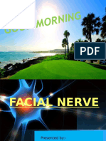 Facial Nerve