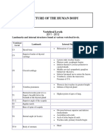 Vertebral Levels