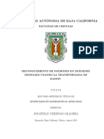 Tesis de Licenciatura de Jonathan Verdugo Olachea