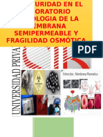 Practica Nº1 Fisiologia de La Membrana Semipermeable