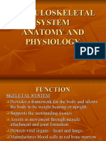 Musculoskeletal Anatomy and Physiology