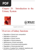 Chapter 26: Introduction To The Urinary System