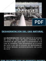 Deshidratacion Del Gas Natural