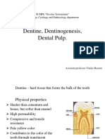 Dentinogenesis (AuthorV Mazuru)