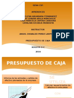 Presupuesto Caja. Completo