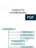 Conducto Lacrimonasal