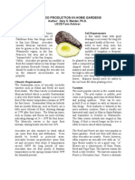 Avocado - Growing Guides