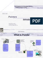 t13APointersIntroduction Pps