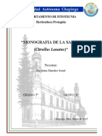 Monografia de Sandia