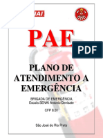 Pae v.8 01-03-11