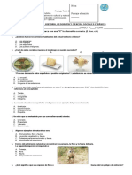 Prueba Global Segundo Semestre Sociedad 2 Basico