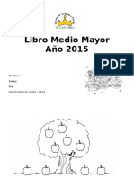 Libro M.mayor 2015 Parte 1