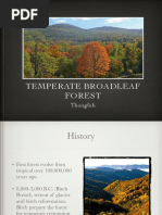 Temperate Forest-3