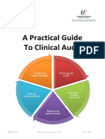 Practicalguideclaudit2013 PDF