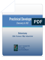 Preclinical Testing Flowchart