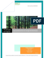 Planificação Do Projecto de Aproveitamento de Energia Biomassa