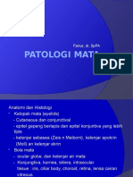 Patologi Mata: Fairuz, DR, Sppa