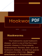 Hookworm