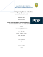 Informe Dendrologia 02