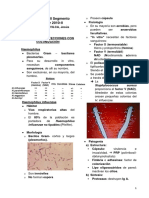 Micro Dr. Nicanor. II Segmento