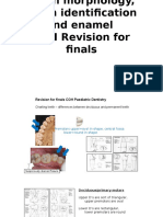 Advanced Tooth Morphology, Tooth Identification and Enamel COH Senior Students