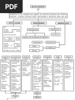 Neurotransmisores