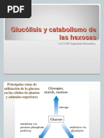 Glucolisis y Catabolismo de Hexosas