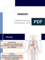 Venoso 2016