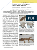 Andrade Et Al 2015 - H. Agrius - Polydactyly and Tail Bifurcation