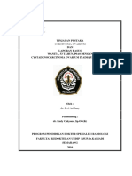 DR Dwi Arifiany (Tinjuan Pustaka Dan Kasus) Wanita 53 Tahun P0A0 Dengan Carcinoma Ovarium Inadequate Staging