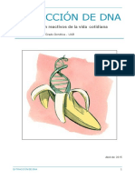 Extraccion de ADN - Platano