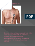 Tórax y Pulmones