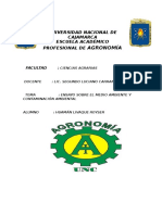 Ensayo Sobre El Medio Ambiente y La Contaminación