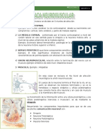 Clase 3 Placa Neuromuscular