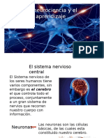 La Neurociencia y El Aprendizaje.