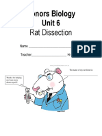 Rat Dissection